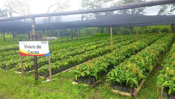 centro-innovacion-agropecuaria-muy-muy